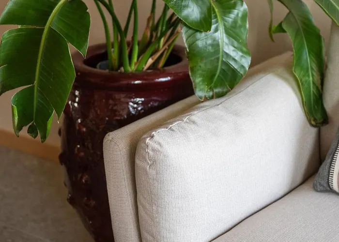 Appartement Coelho 145 Porto