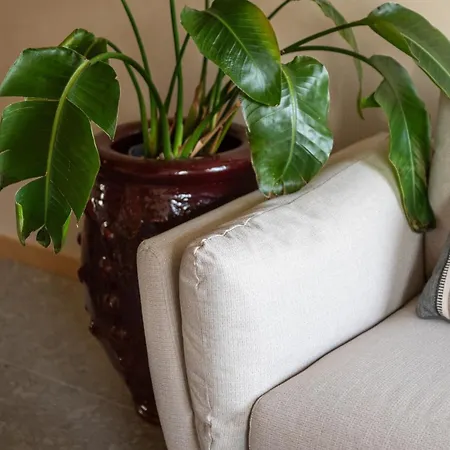 Apartamento Coelho 145 Oporto